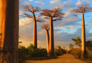 Madagascar