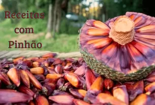 receitas com pinhão