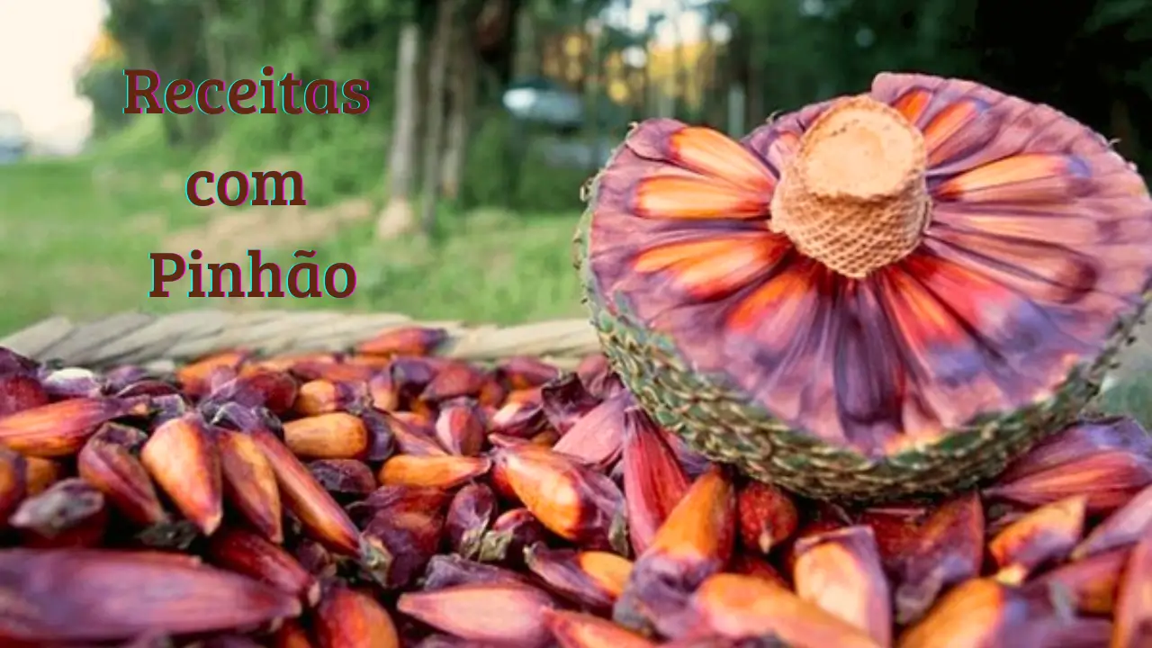 receitas com pinhão