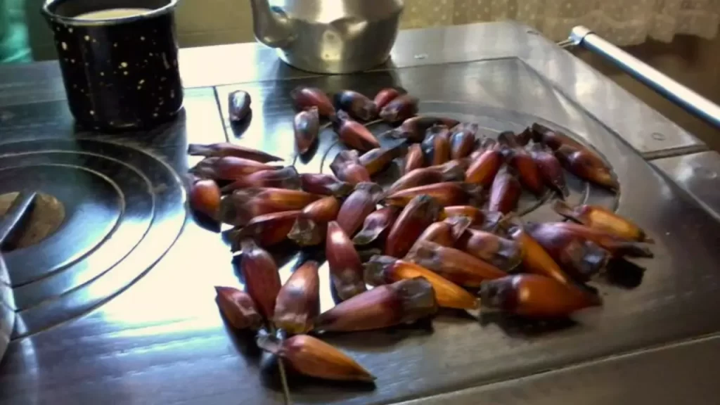 receitas com pinhão