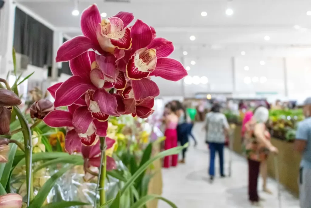 Expoflora