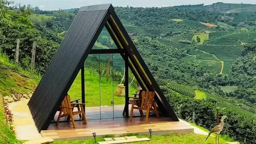 movimento analógico