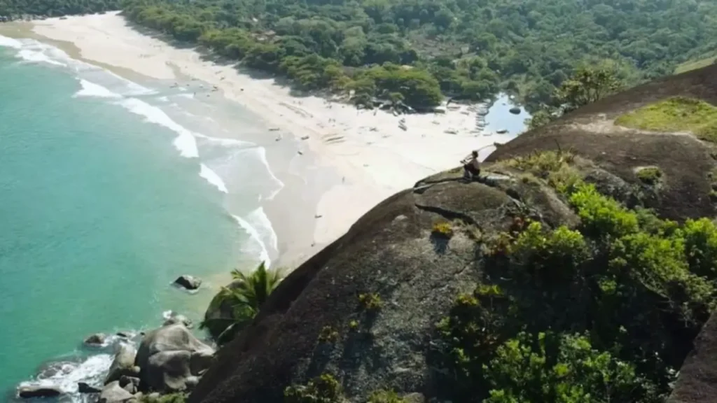 movimento analógico